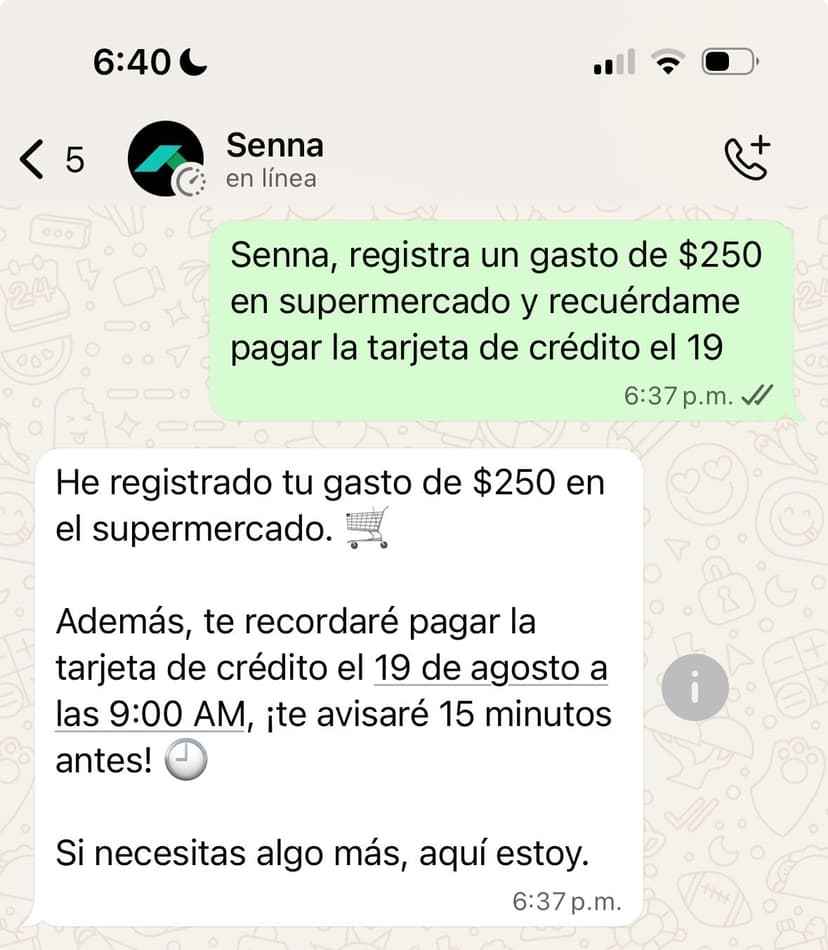Demo de gestión financiera con Senna